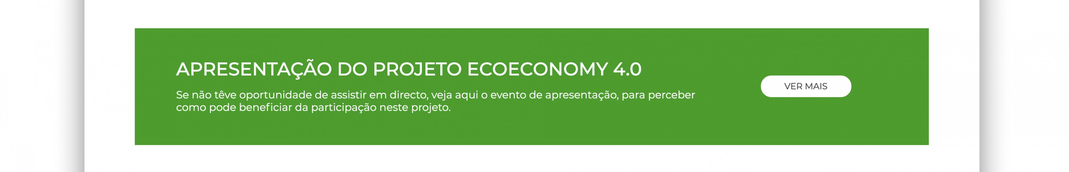 Ecoeconomy